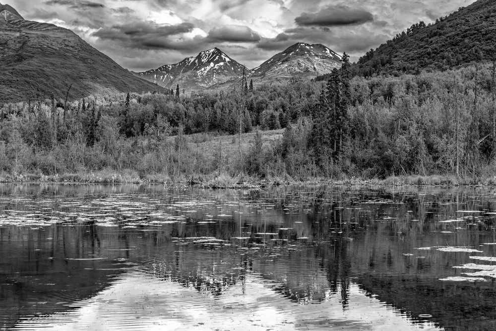 Reflections of Wilderness