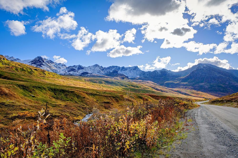 Road to Serenity