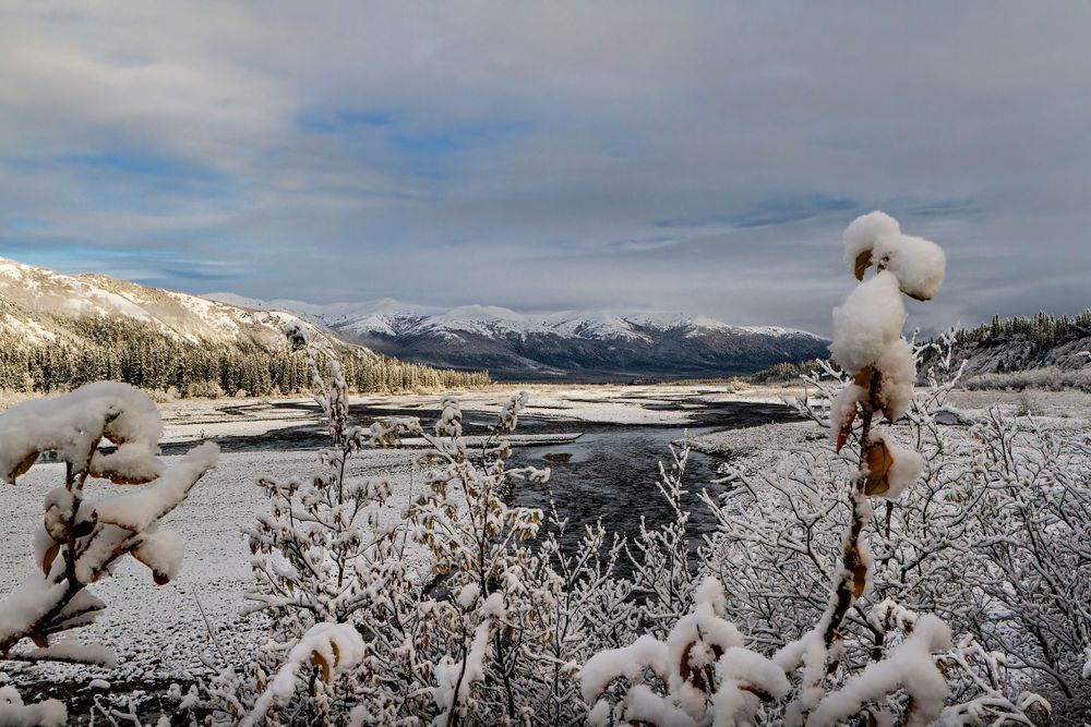 Winter's Embrace