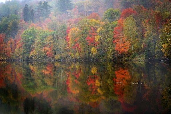 Autumns Rainbow Minnesota Removable Wallpaper by William Drew Photography