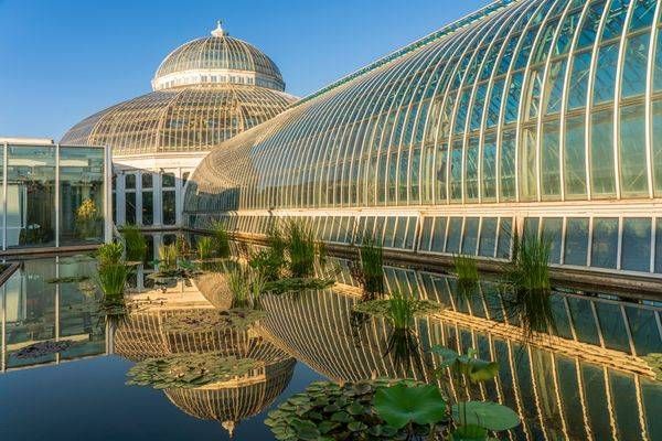 Golden Reflections At Como Conservatory Photography Art | William Drew Photography