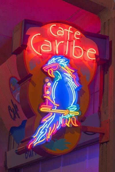 Cafe Caribe Parrot Photography Art | William Drew Photography