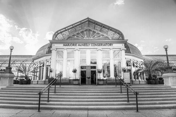 Conservatory Steps Black And White Photography Art | William Drew Photography