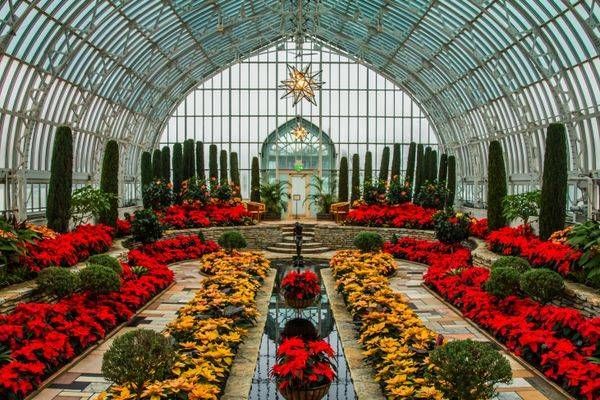 Christmas Conservatory Photography Art | William Drew Photography