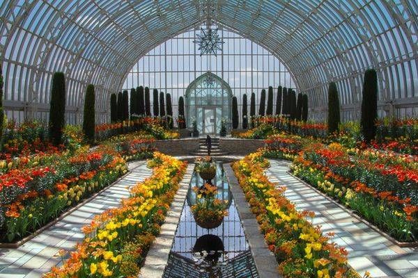 Beautiful Flowers Conservatory 2025 Photography Art | William Drew Photography