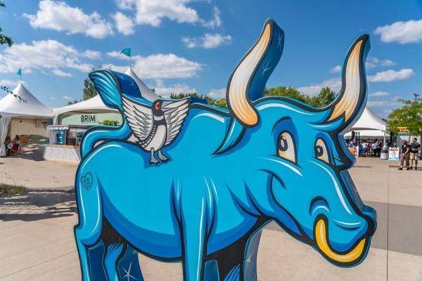 Babe The Blue Ox At The Fair Photography Art | William Drew Photography