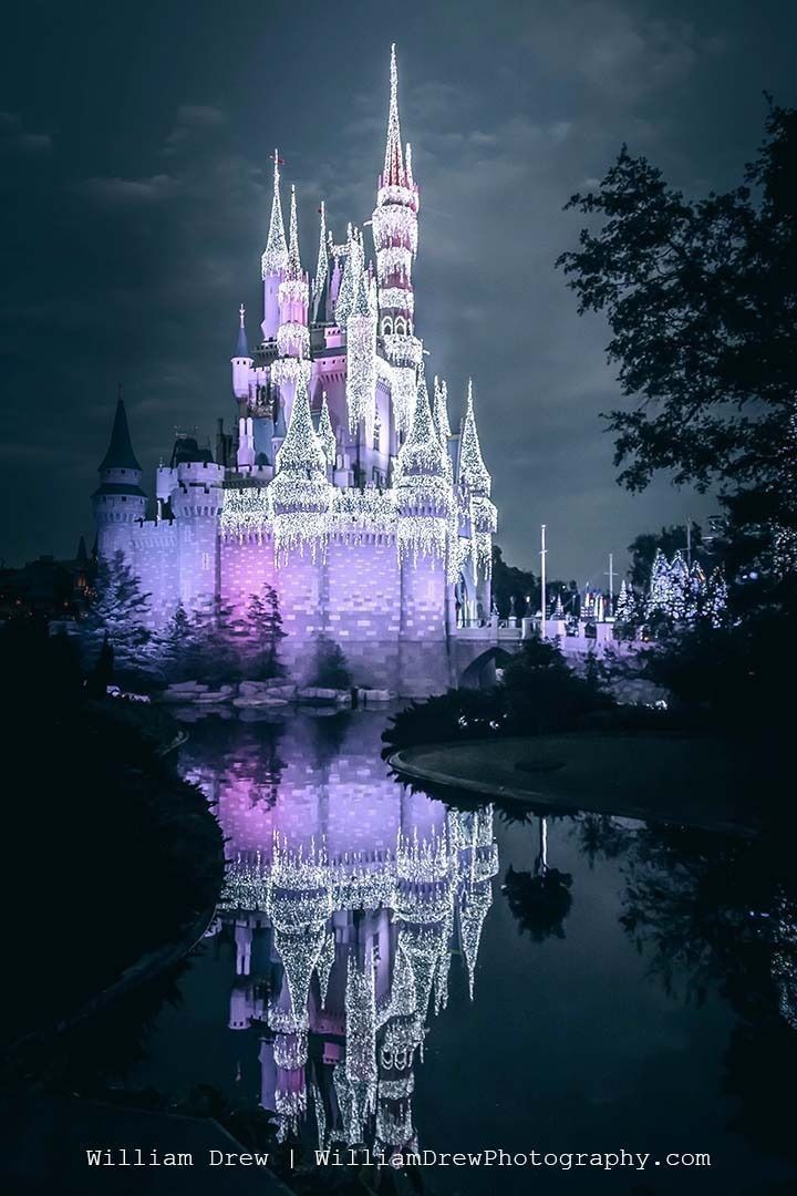 Cinderella Castle lit up in Christmas Dream Lights reflecting in the moat by Sleepy Hollow.