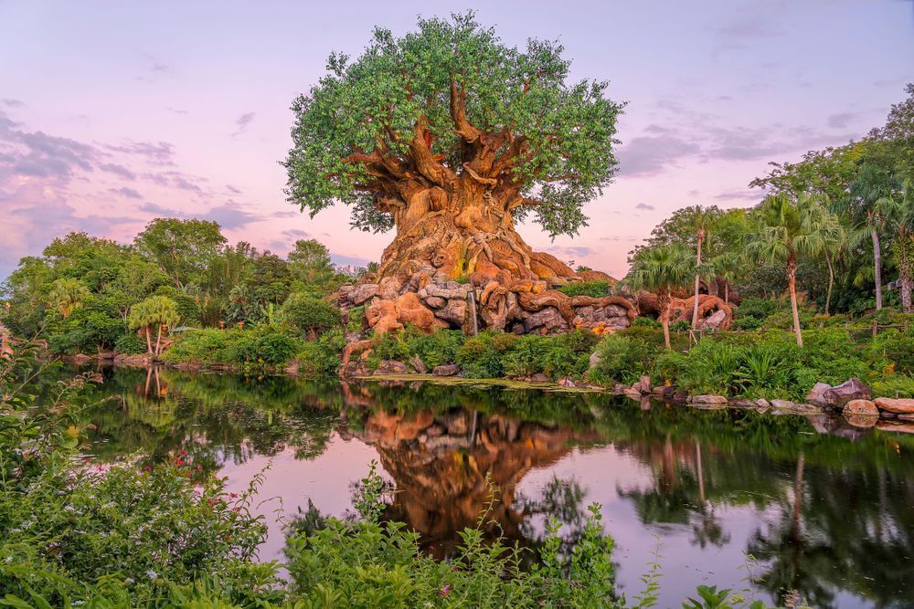 Tree of Life Wall Art | Disney’s Animal Kingdom Fine Art Photography
