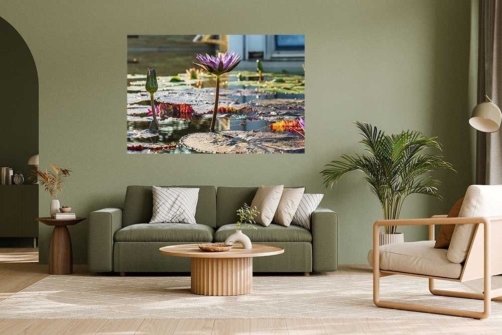 Lily Pond Reflections at Como Conservatory canvas print displayed above a green sofa in a living room, water lily fine art photography