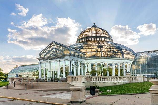 Radiant Glasss At Como Conservatory Photography Art | William Drew Photography