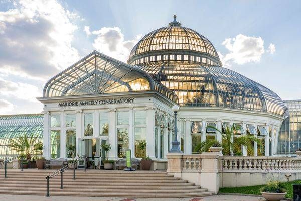 Palms And The Dome Photography Art | William Drew Photography