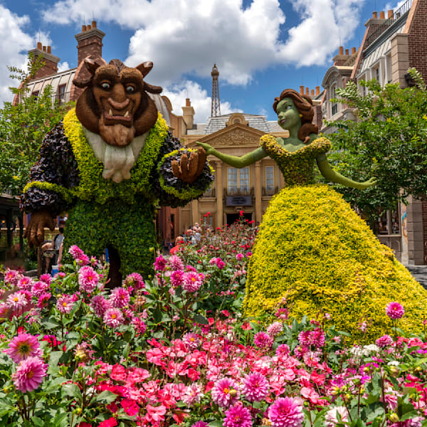 Beast And Belle Topiaries In France 2021 Photography Art | William Drew Photography