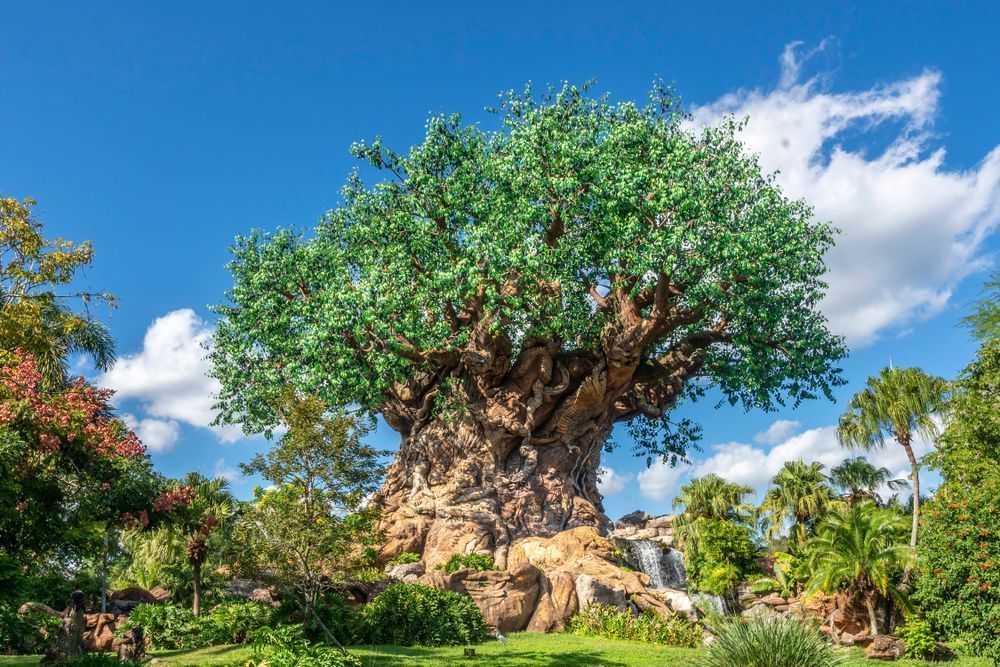 Beautiful Day at Animal Kingdom Disney Art by William Drew Photography