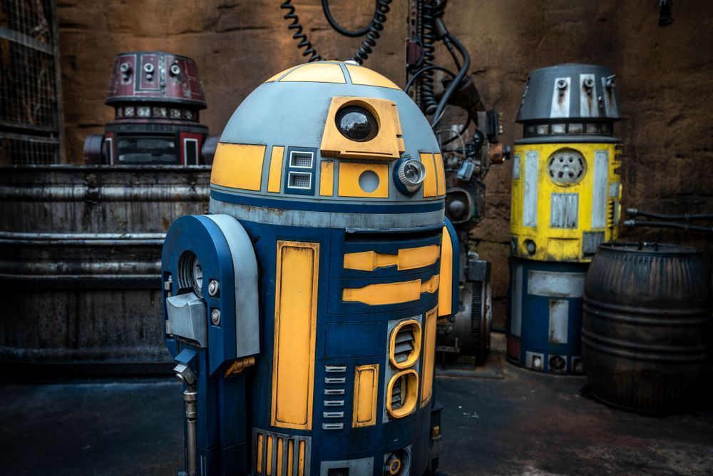 Blue And Yellow R2 Unit And Friends Photography Art | William Drew Photography