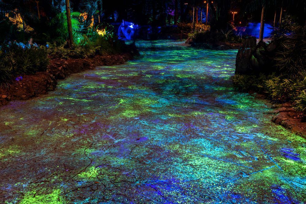 Colorful Pandora Nights Disney Art by William Drew Photography