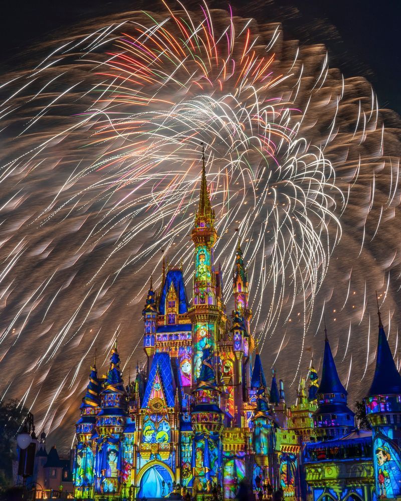 A Sky Full of Stories - Cinderella Castle Fireworks Wall Art
