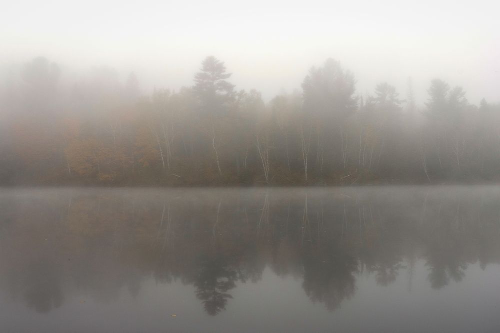 Autumn Peeking Through – Foggy River Forest Reflection Wall Art | Minnesota Nature Photography