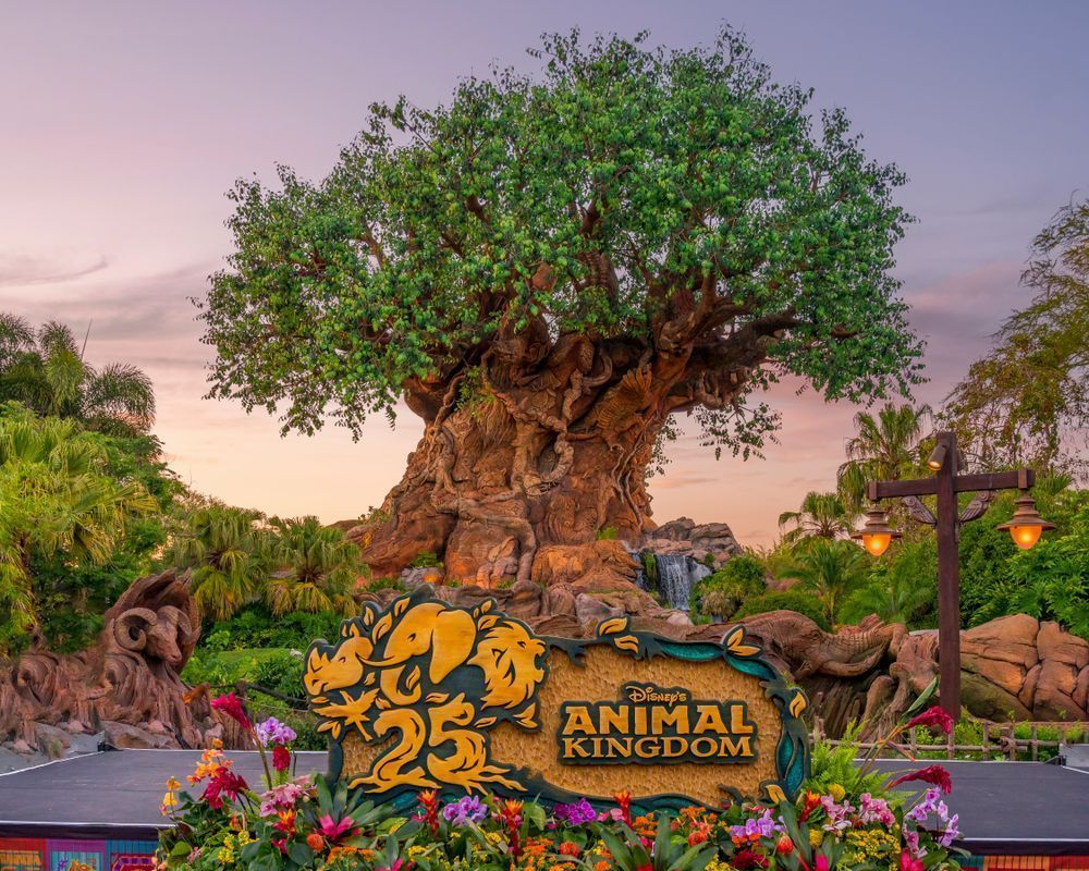 MDAwMDAwMDAwMDAw7QGraePd6CACeh