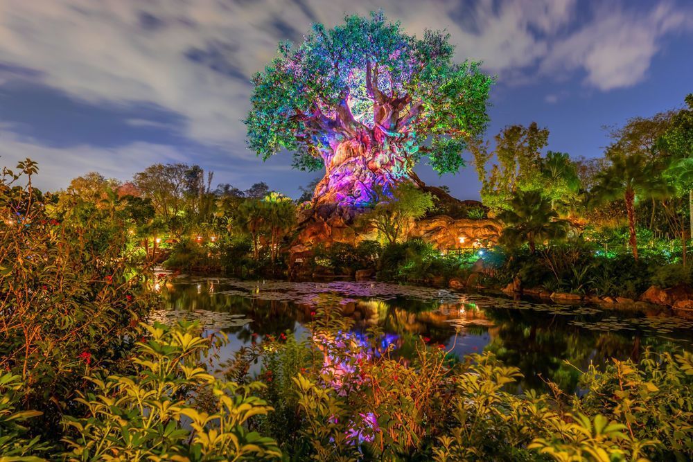 Animal Kingdom Nights Disney Art by William Drew Photography