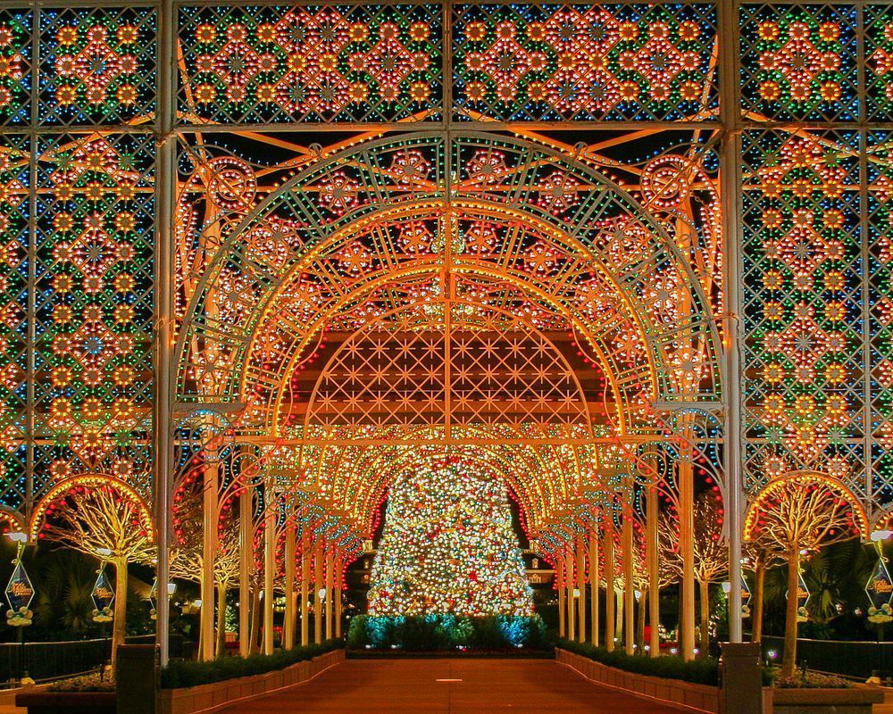 Epcot Lights of Winter Disney Art by William Drew Photography