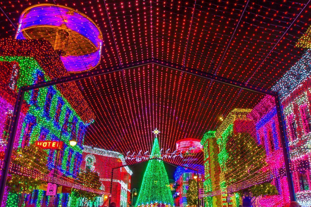 Osborne Family Lights Red Disney Art by William Drew Photography