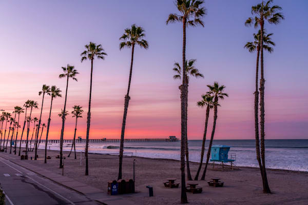 Oceanside California Palm Tree Sunrise California Art by William Drew Photography