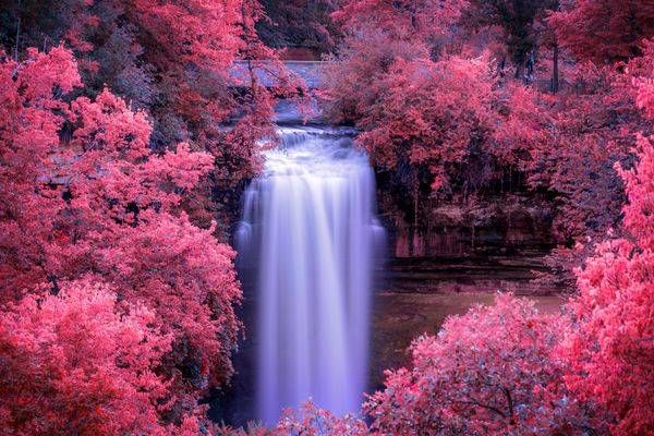 Minnehaha Dreams Minneapolis Art by William Drew Photography