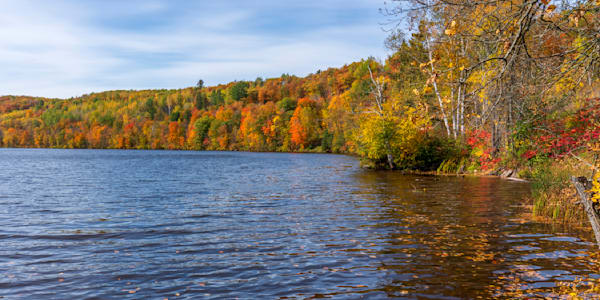 St Louis River Fall Colors Minnesota Art by William Drew Photography