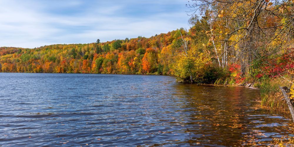 St Louis River Fall Colors Minnesota Art by William Drew Photography