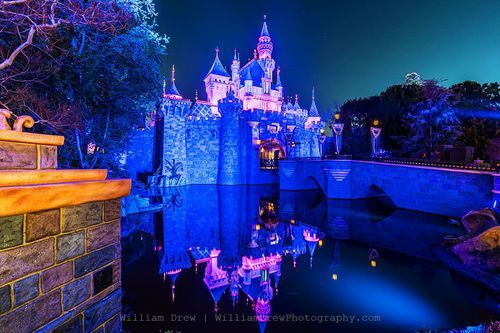 Tinker Bell Flight Wall Mural – Cinderella Castle Fireworks Disney