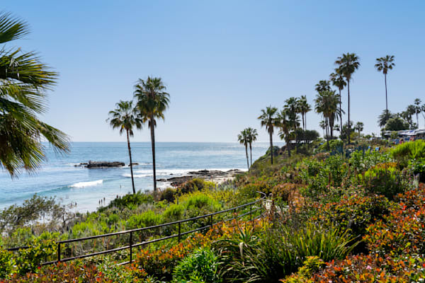 Paradise at Laguna Beach - California Wall Art | William Drew