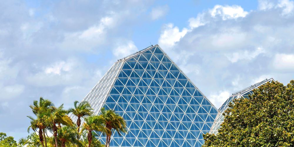Palm Trees And Pyramids At Epcot Photography Art | William Drew Photography