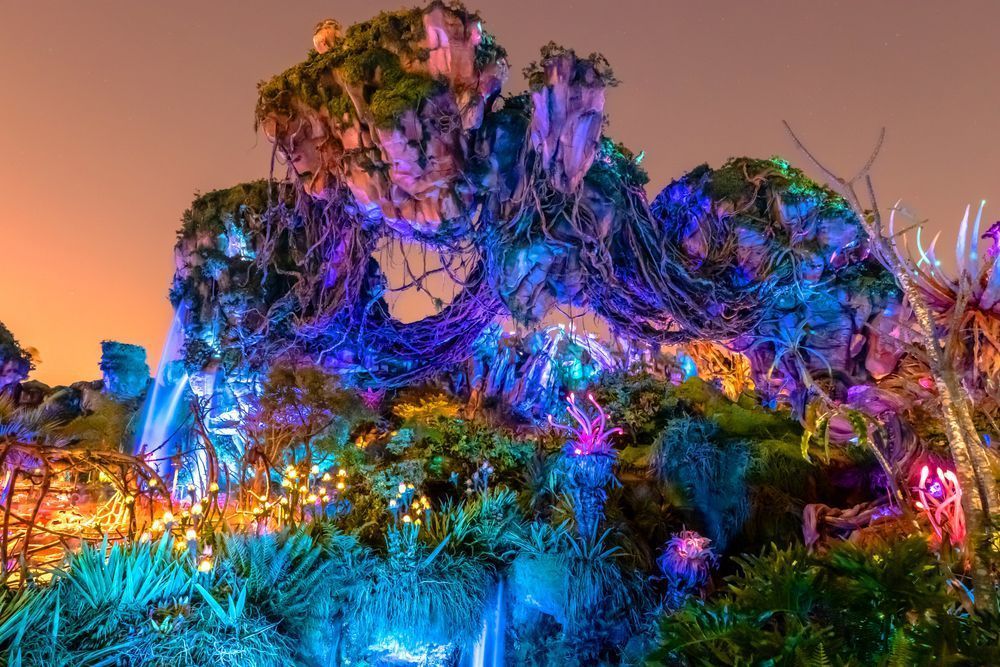 Pandora Nights at Disney Art by William Drew Photography