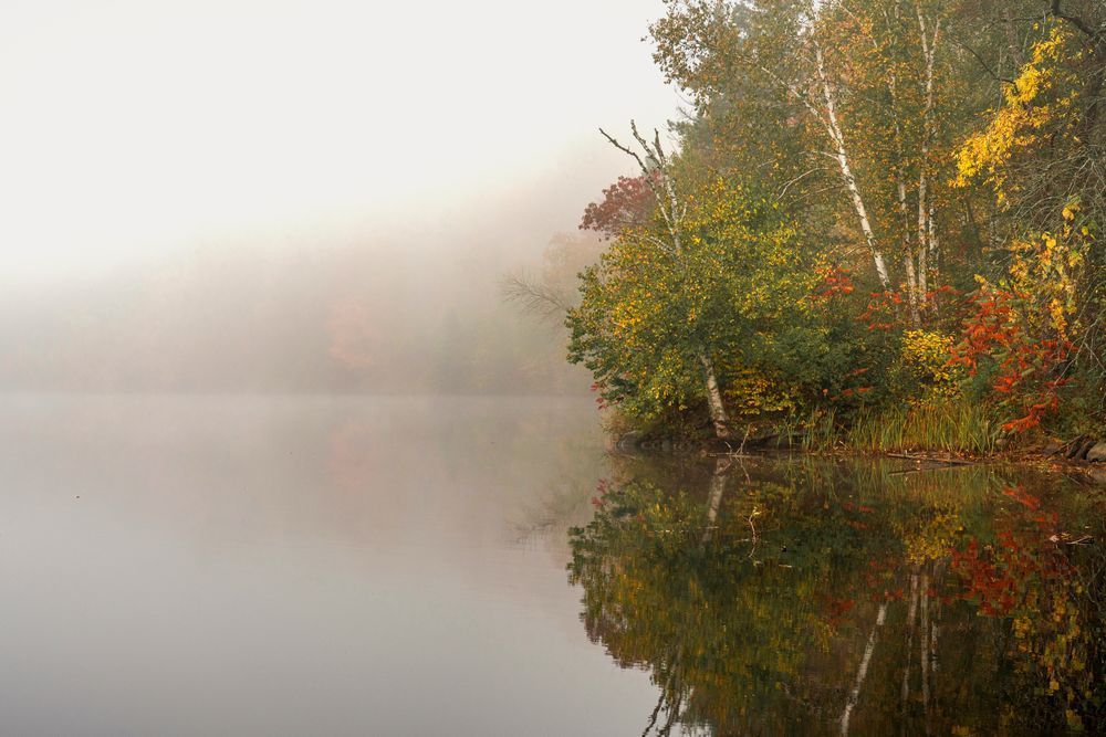 Misty Autumn Lake Art Print from Jay Cooke State Park | Whispers in the Fog by William Drew