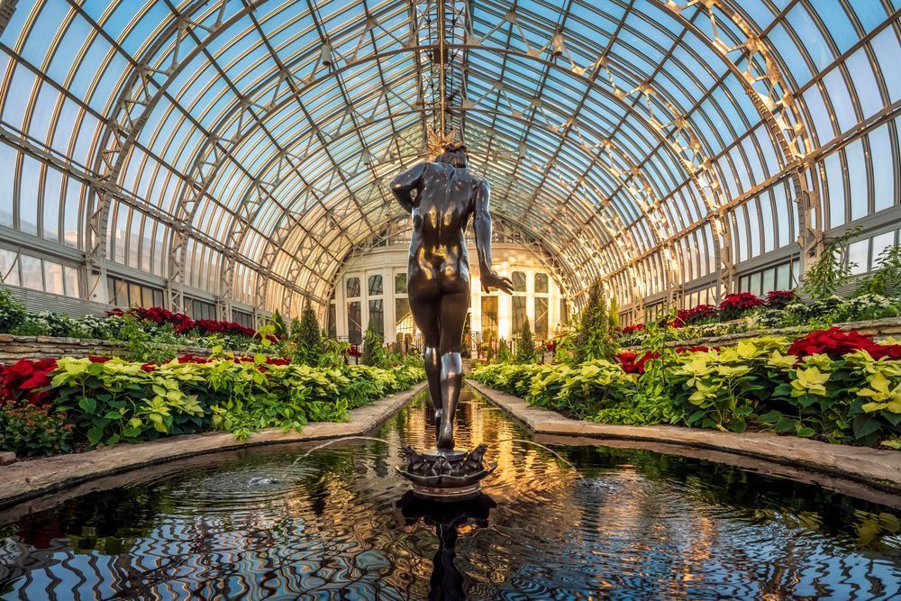 Winter Light Sunken Garden Print – Como Conservatory St. Paul Wall Art Photography