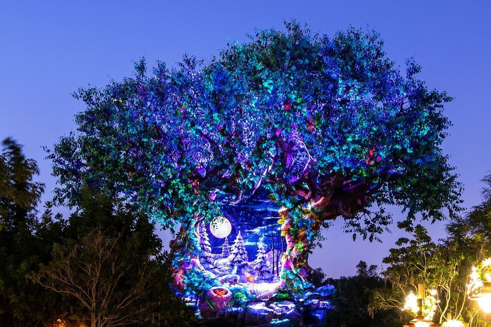 Tree of Life Holiday Awakenings Scene 6 Disney Art by William Drew Photography