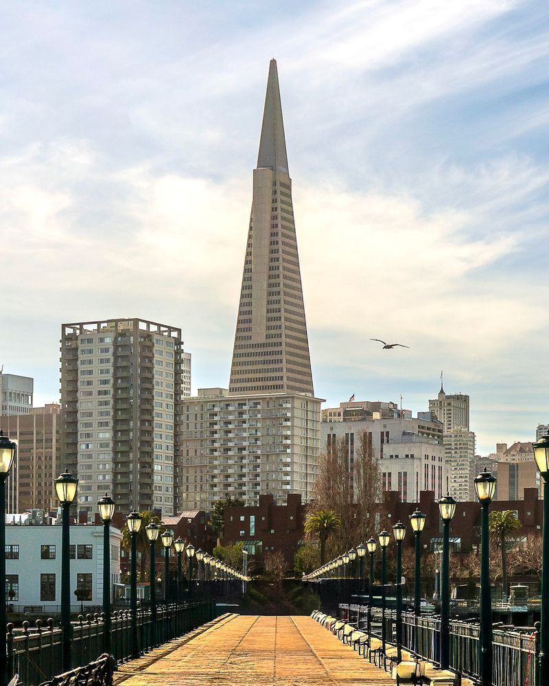 TransAmerica Pyramid - San Francisco Metal Print