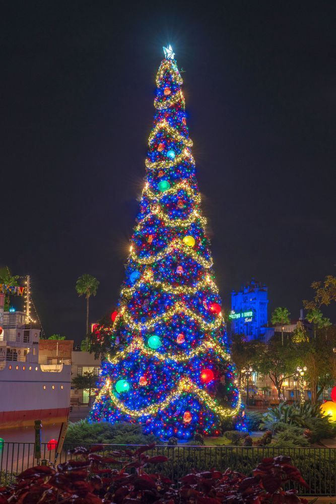 A Christmas Evening at Hollywood Studios | Disney Christmas Wall Art Print