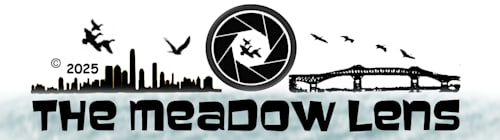The Meadow Lens
