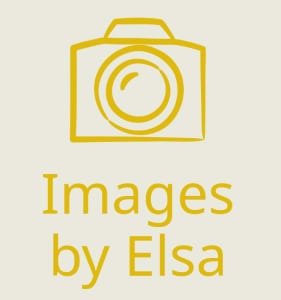 Images by Elsa