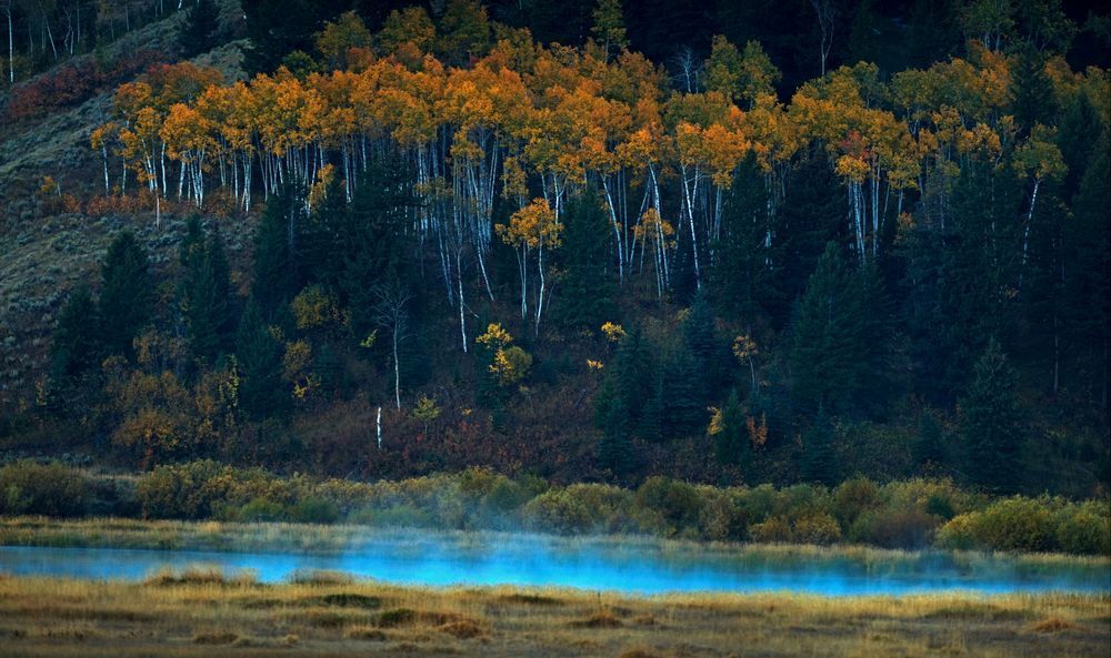 Blue Mist