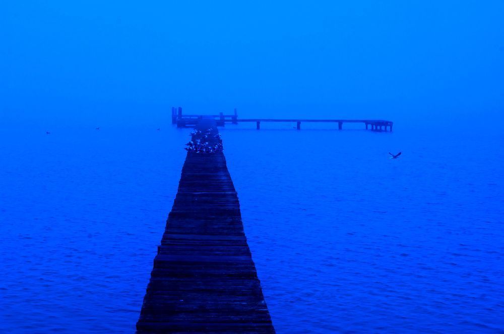 Blue Coast