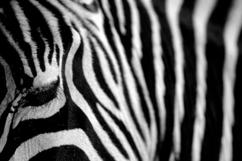 Black And White