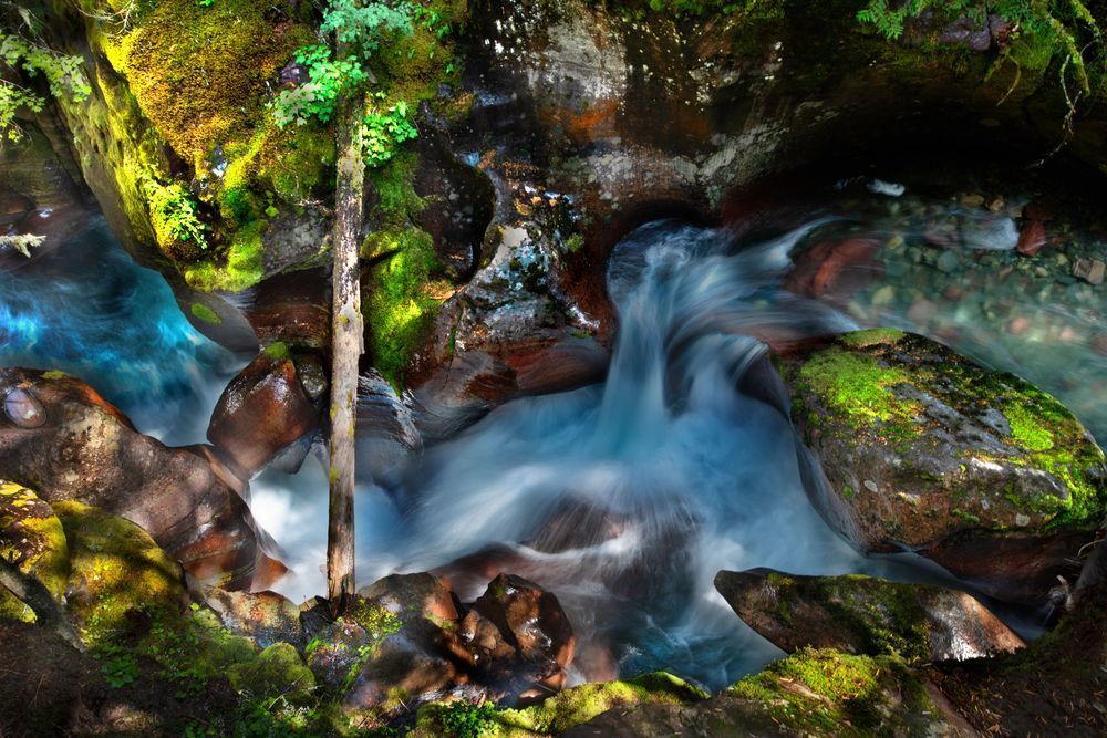 Avalanche Creek-Montana