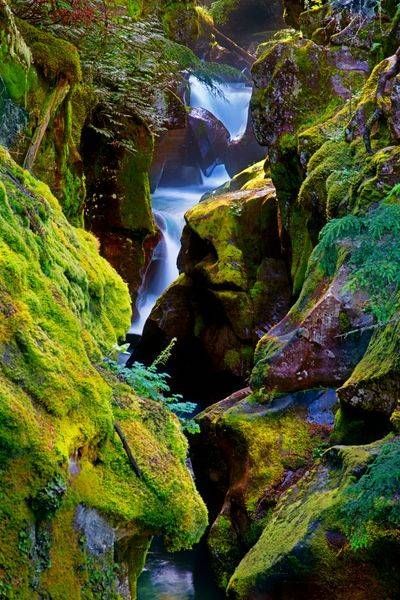 Avalanche Creek Cut