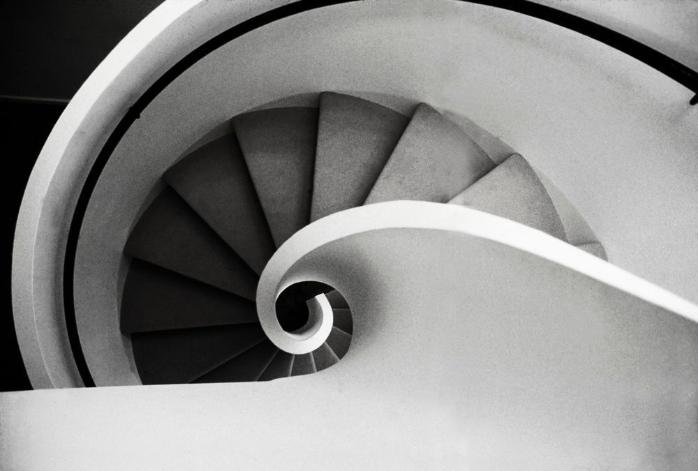 Nautilus