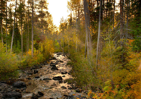 Mountan Stream