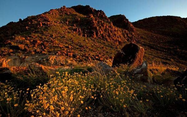 Texas Borderlands