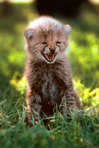 Mdawmdawmdawmdaw7qgraepd6cacehr zcfbfywxu2fyveayeunrgwctqqqltnerwweter6yomfiojy24adow ljj7f22f2vd2s3k0fn 38ezqodftc2xeuhdjufahdziomokxodj3hs jg da6ji5eudq olwagpj5emn5hfhixetl5uq am0bi59pid3m3of8grtnvvvoor 8emmmui7vdwkww9kwvskevmsdshfosieuiruwz4ab9pe8x58fqvtqeh784cosrhhq3z5ljaoeewiqz4h5h1ij5egfmkkzcwf7q5t6nbyz6y41tyb0