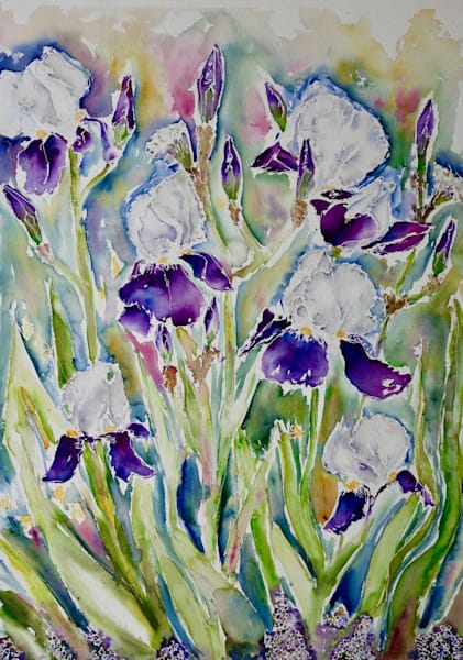 Botanicals Botanicals